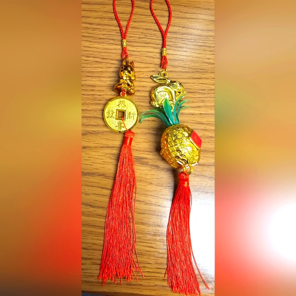 Lot of 2 Lucky Charm